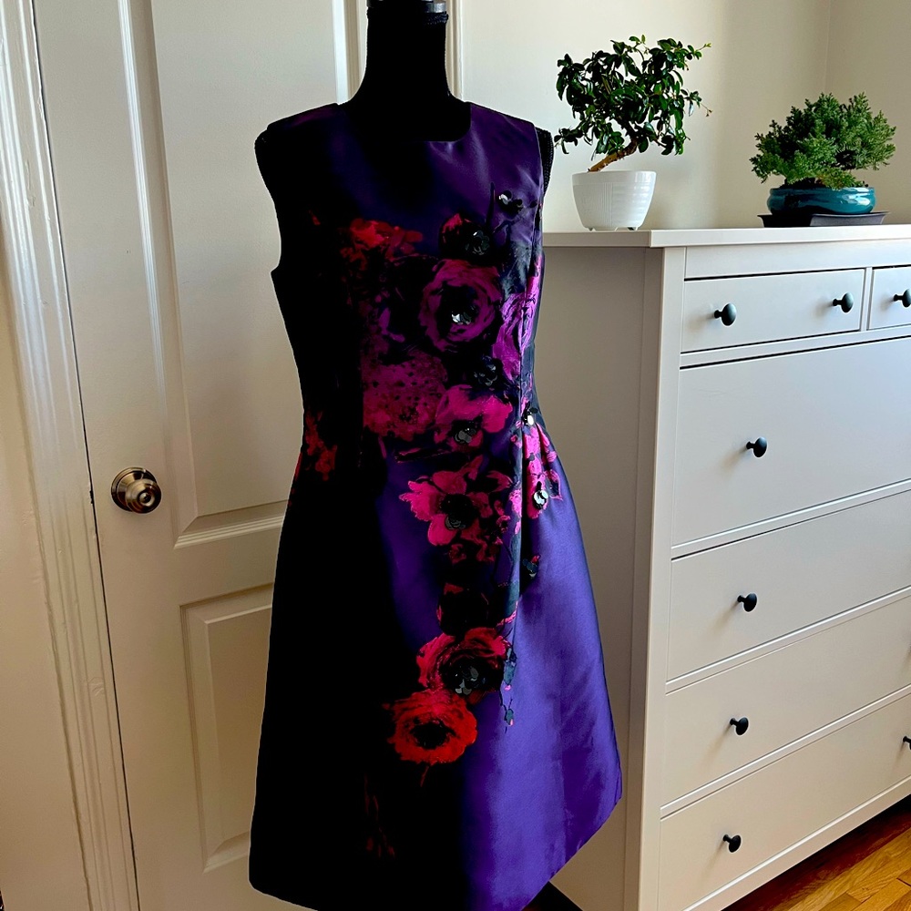 Women’s dress size 8 Teri Jon